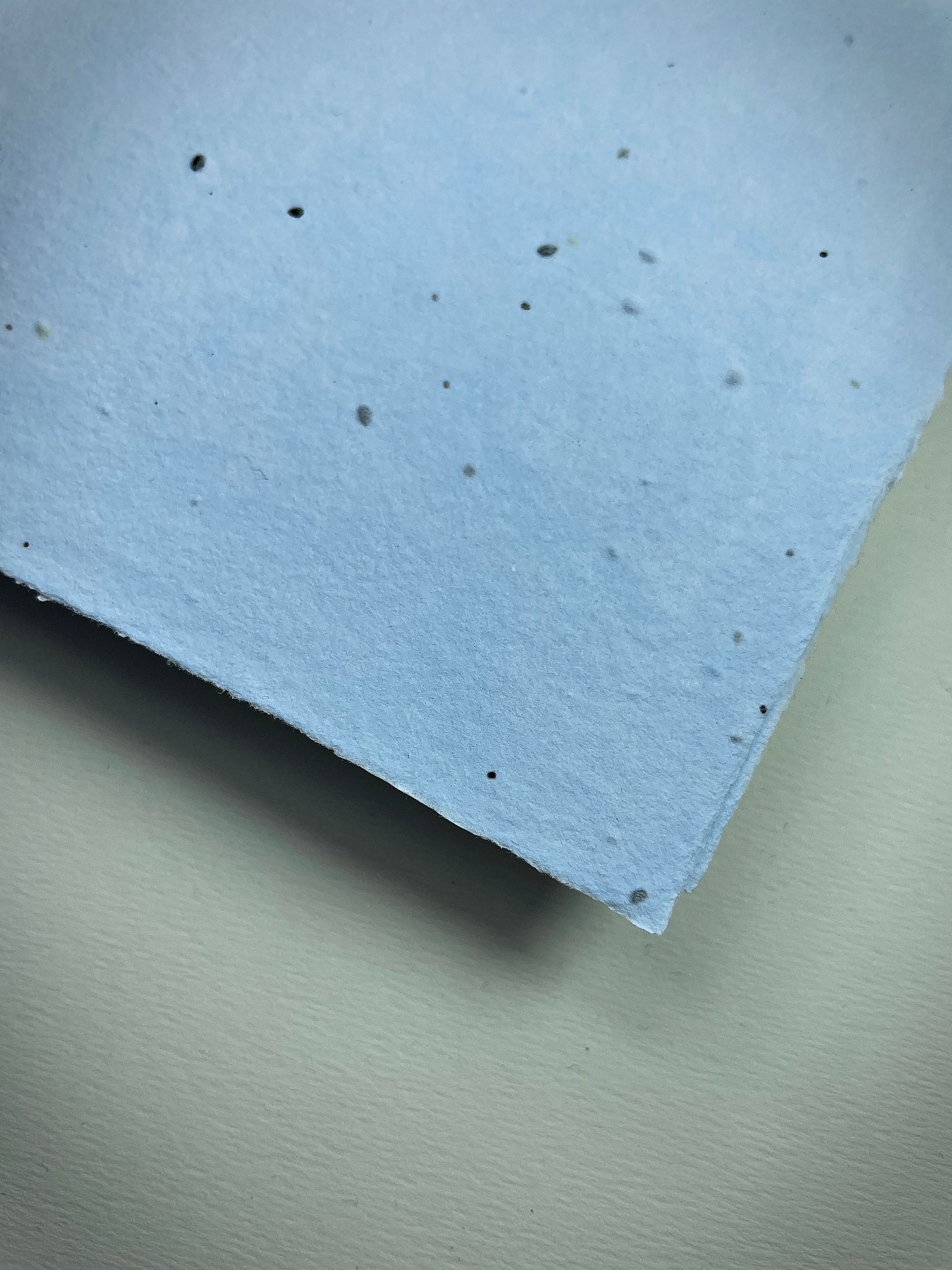 Detail eines handgeschöpften Büttenpapiers mit eingeschöpften Samen im Farbton babyblau