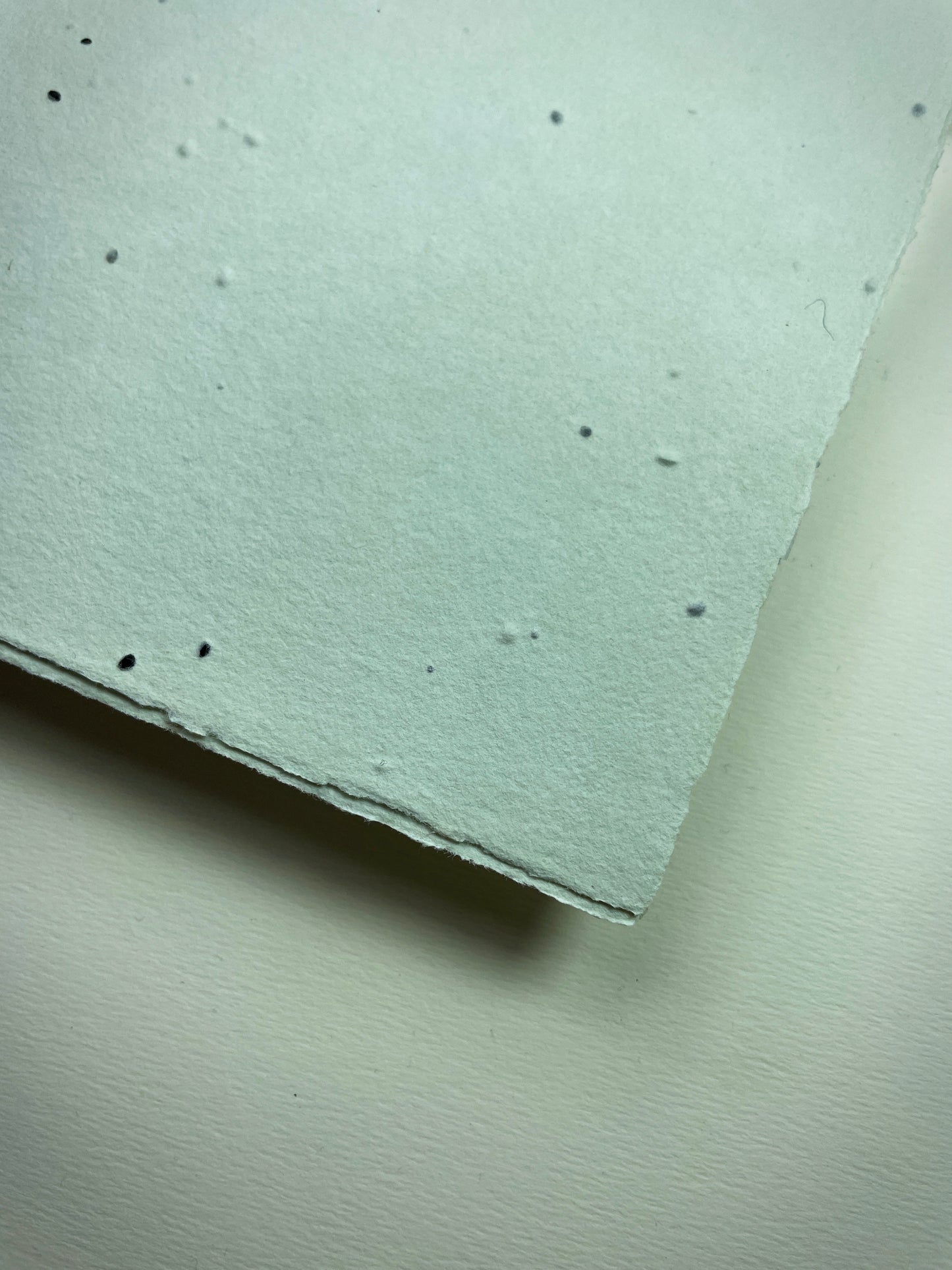 Samenpapier handgeschöpft - DIN-lang - mint