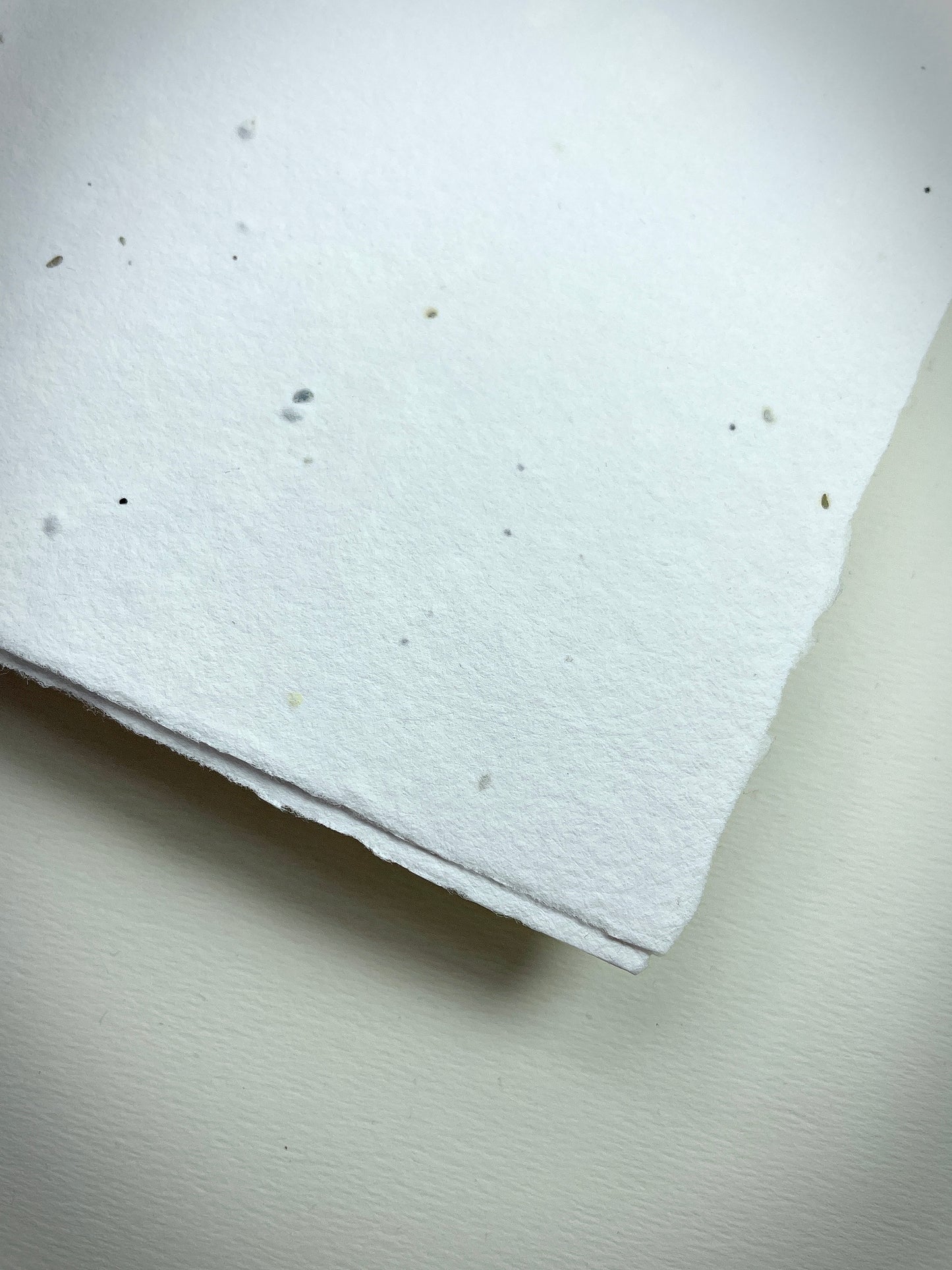 Samenpapier handgeschöpft - DIN-A3 - naturweiß
