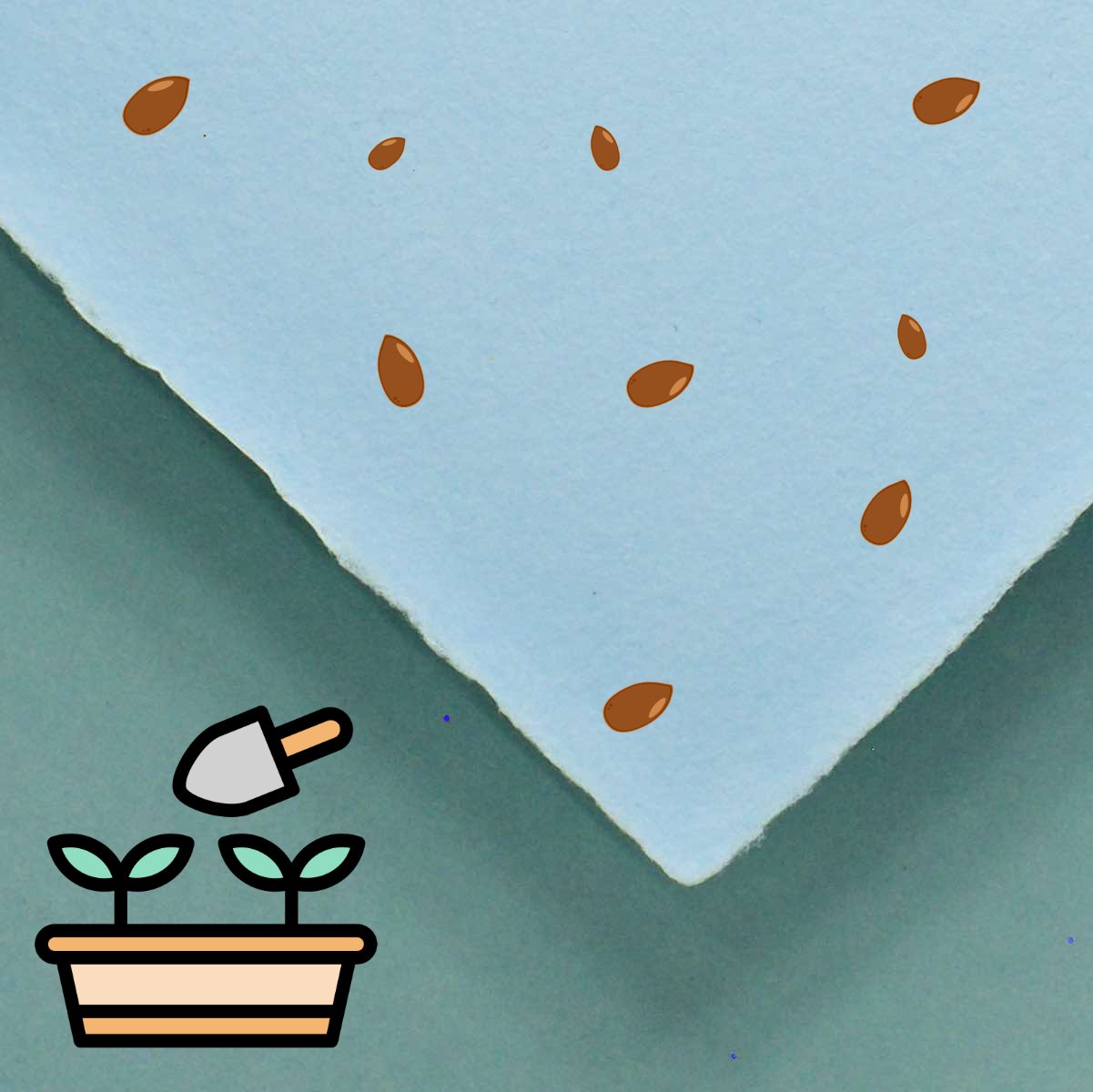 Samenpapier babyblau
