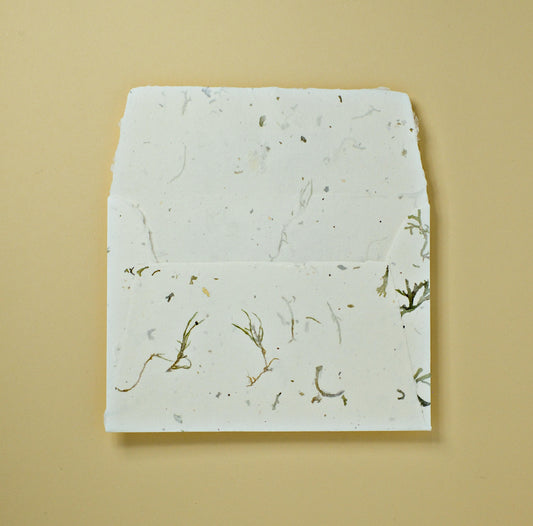 Sonderedition: Baumwollumschlag C6 - Trapezlasche - Flechten