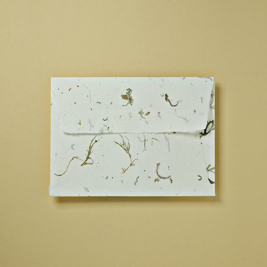 Sonderedition: Baumwollumschlag C6 - Trapezlasche - Flechten